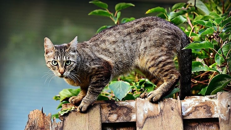 Nsdzpt Tqyqytqhu0f2jxh6w7trizjkijlowejicvjisiacxhvzgq 4dtwooqa32nza Mdkqpw1 Mmmyg84kn Osqwyto7kkoiu9vo4 Bhpqub0loaz Ousiuo 33bh7htbsmrmqa7xpepmb6q